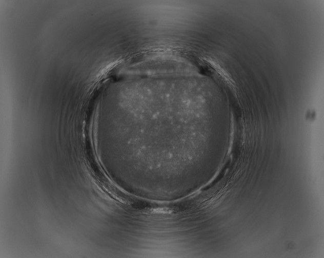 X0000088850692200706291455