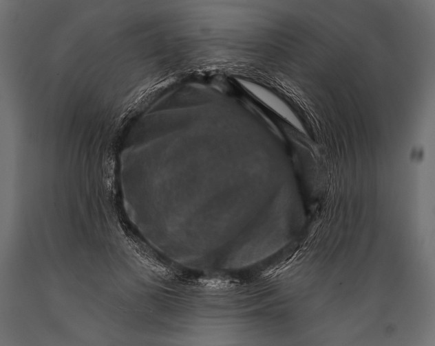 X0000088850693200706291455