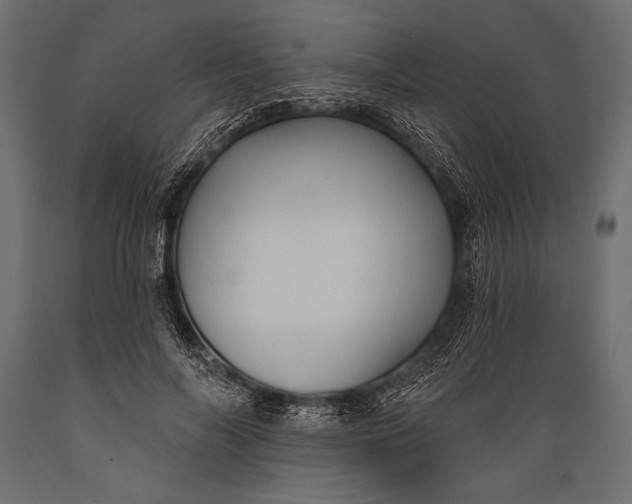 X0000088850694200706291455