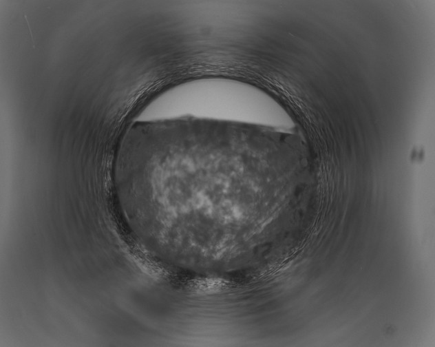 X0000088850695200706291455