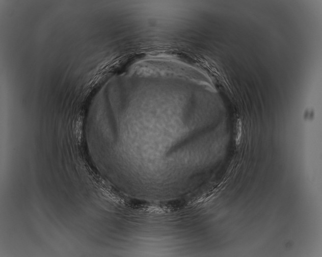 X0000088850697200706291455