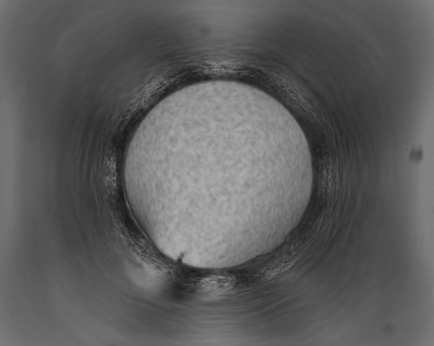 X0000088850700200706291455