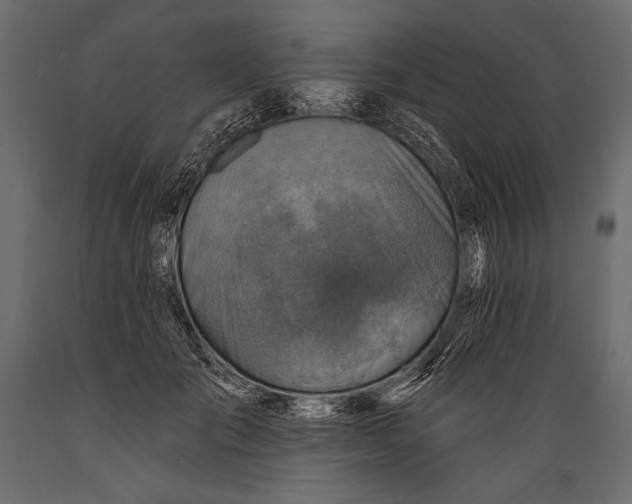 X0000088850701200706291455