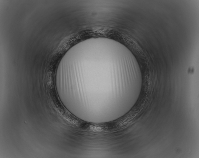 X0000088850706200706291455