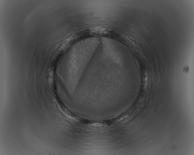 X0000088850708200706291455