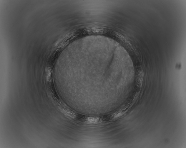 X0000088850709200706291455