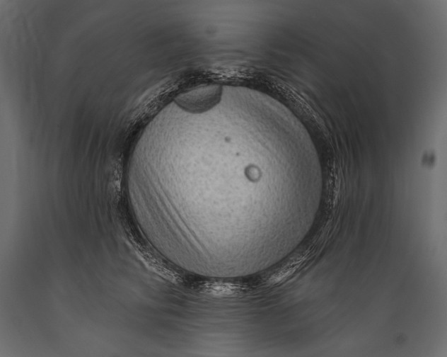 X0000088850710200706291455