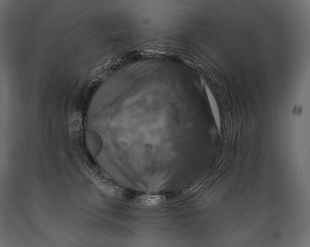 X0000088850711200706291455