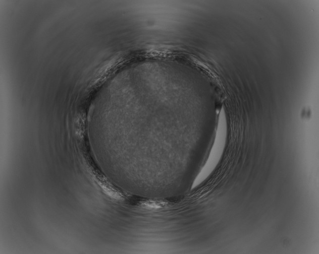 X0000088850712200706291455