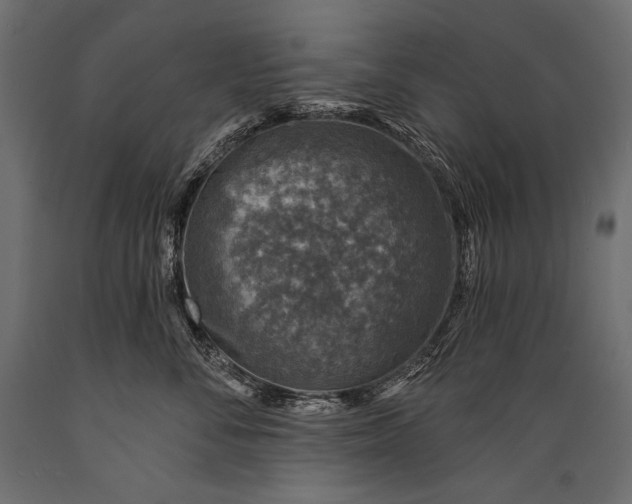 X0000088850716200706291455