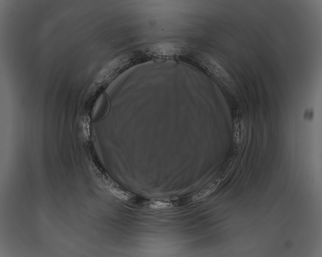 X0000088850718200706291455