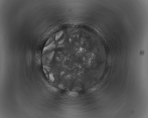 X0000088850719200706291455