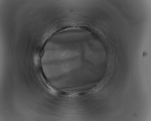 X0000088850720200706291455