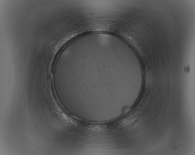 X0000088850721200706291454