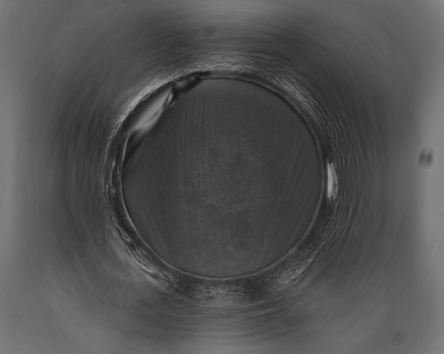 X0000088850723200706291454