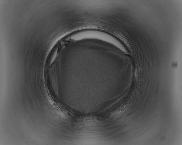 X0000088850724200706291454