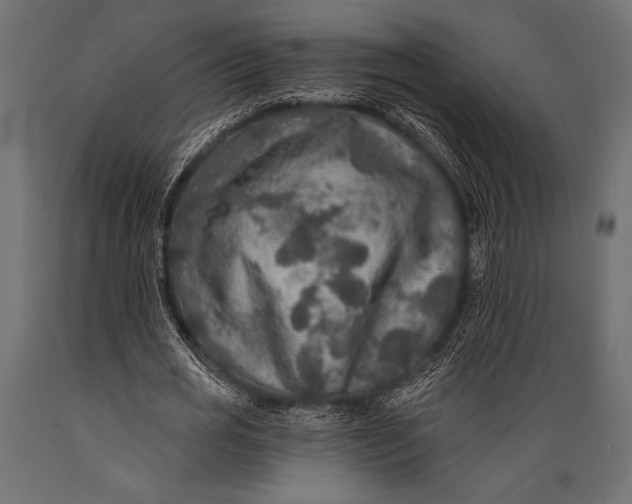 X0000088850725200706291454