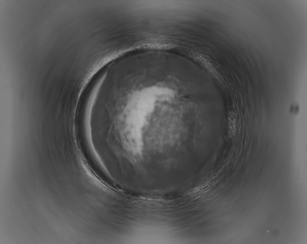 X0000088850726200706291454