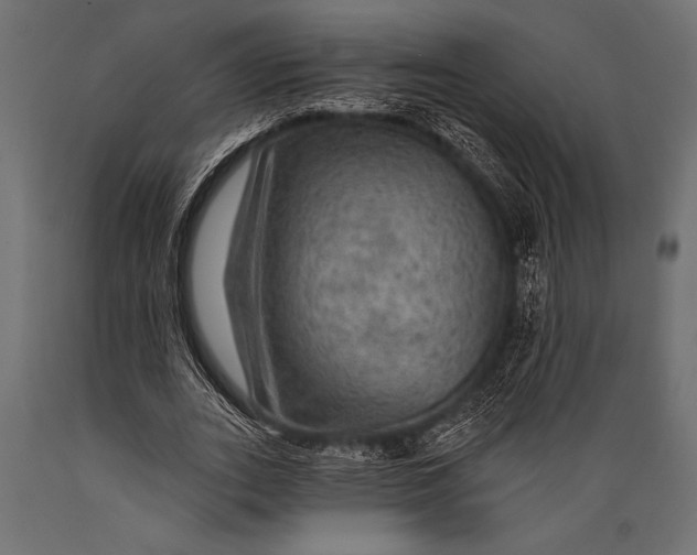 X0000088850727200706291454