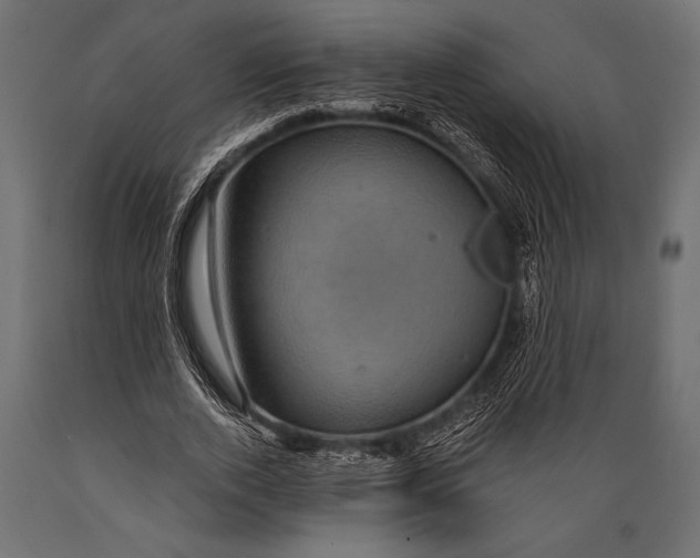 X0000088850728200706291454