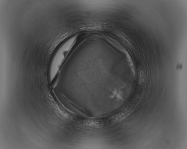 X0000088850729200706291454