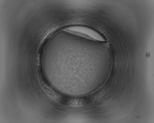 X0000088850731200706291454