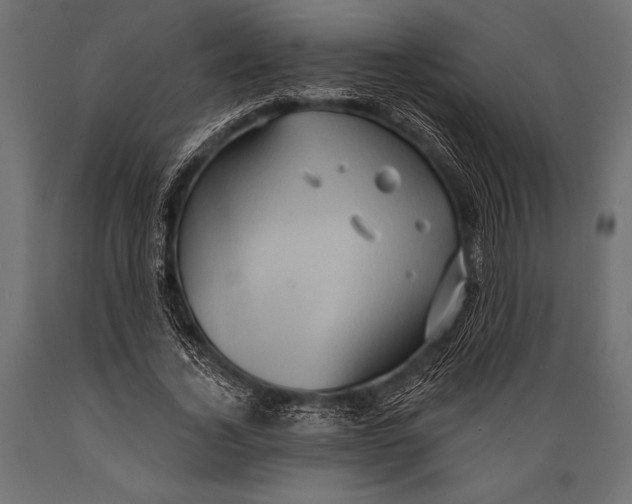 X0000088850732200706291454