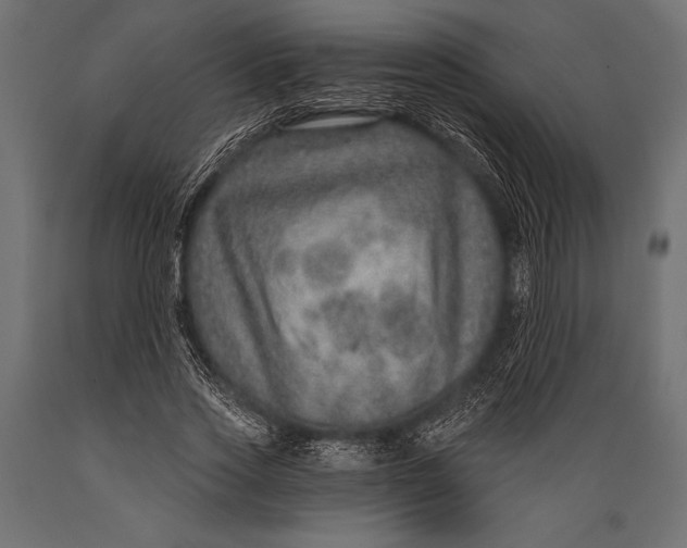 X0000088850733200706291454