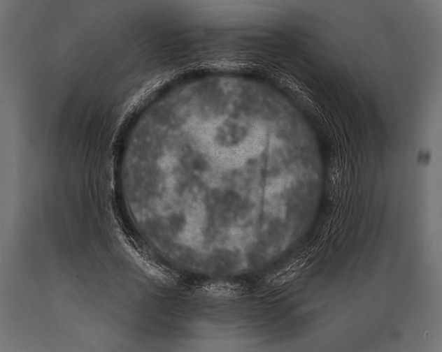 X0000088850734200706291454