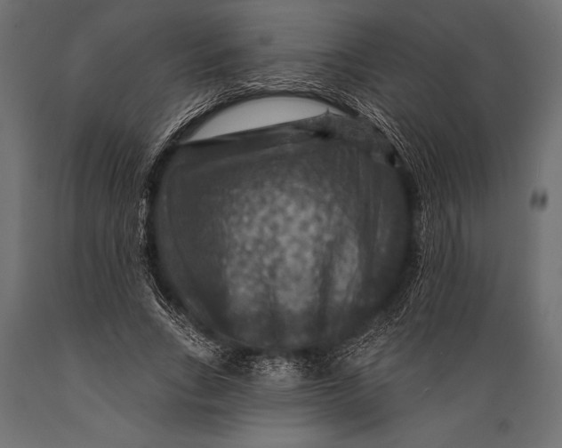 X0000088850735200706291454