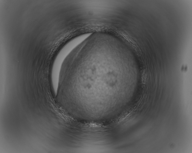 X0000088850737200706291454