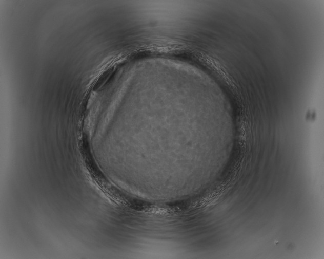 X0000088850738200706291454