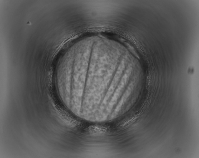 X0000088850739200706291454