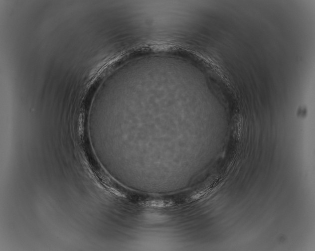 X0000088850740200706291454