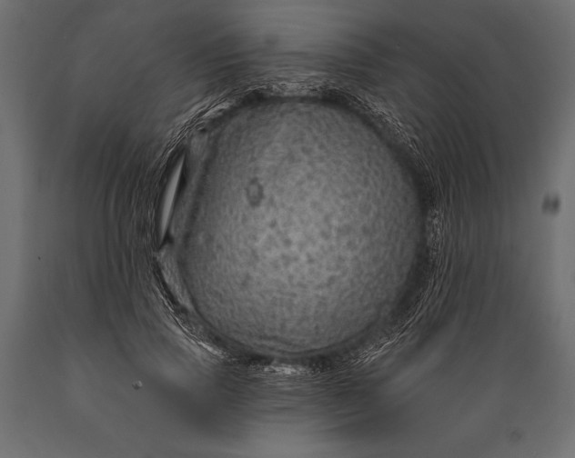 X0000088850741200706291454