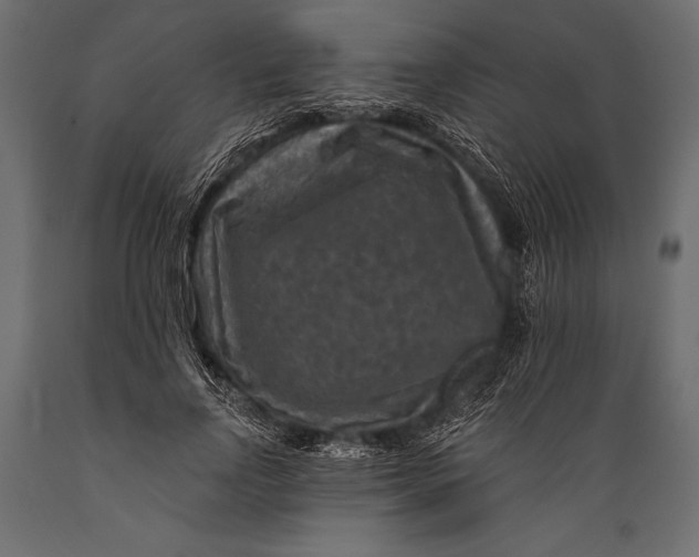 X0000088850742200706291454