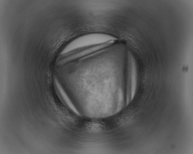 X0000088850743200706291454