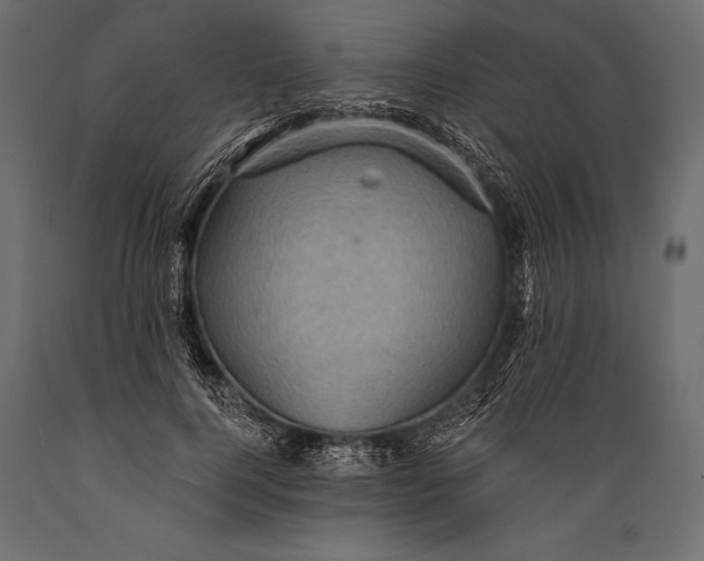 X0000088850744200706291454