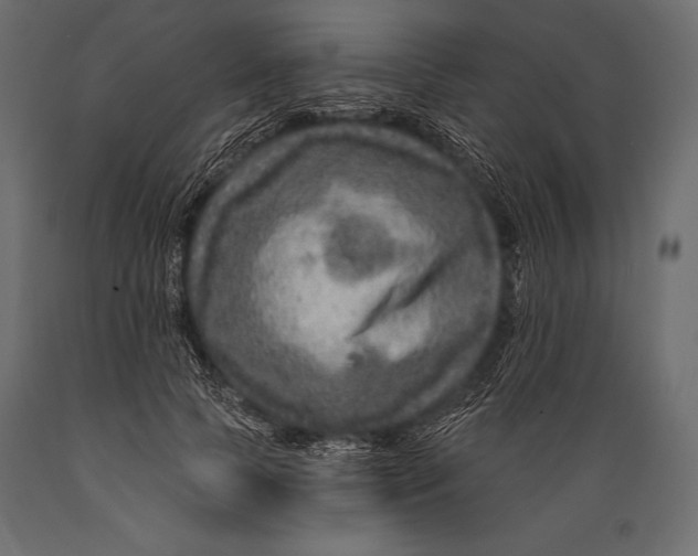 X0000088850745200706291454