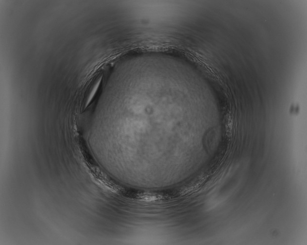 X0000088850746200706291455