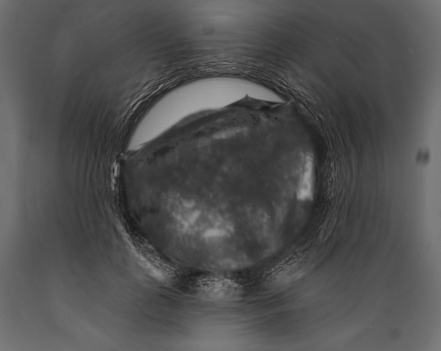 X0000088850747200706291455