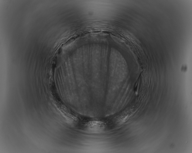 X0000088850748200706291455