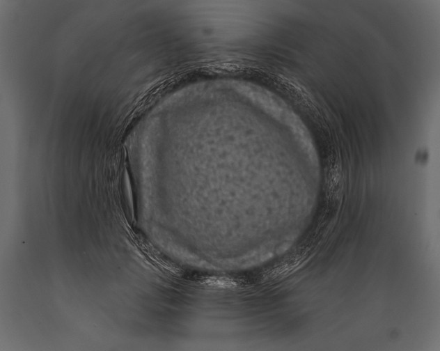 X0000088850749200706291455