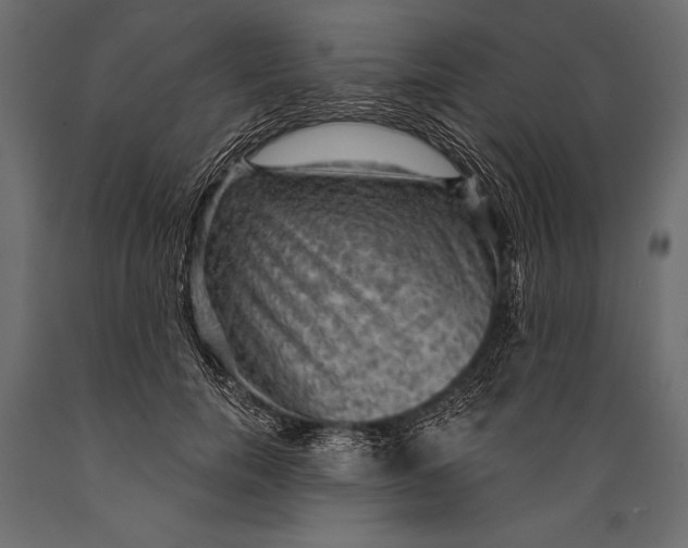 X0000088850750200706291455