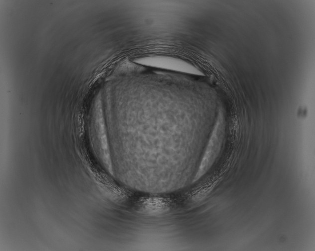 X0000088850751200706291455