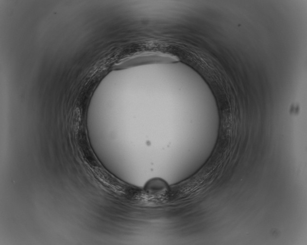 X0000088850752200706291455