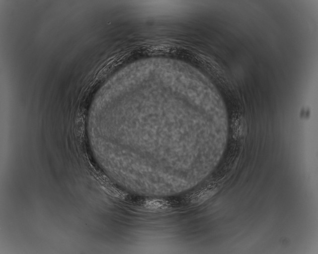 X0000088850753200706291455