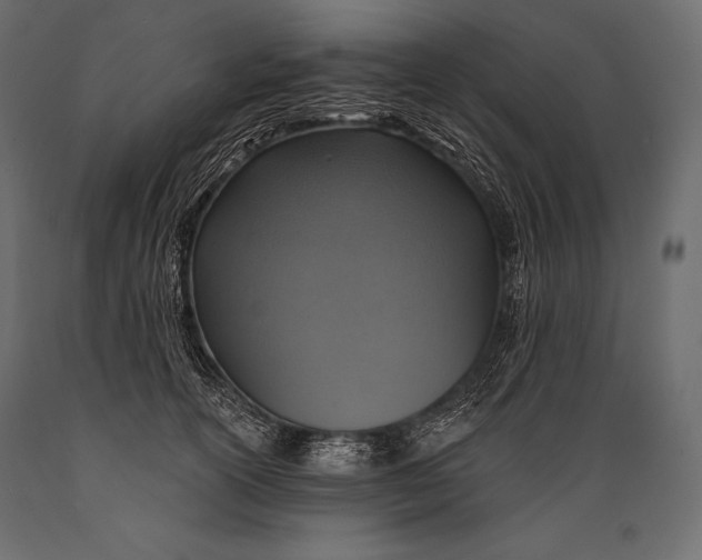 X0000088850754200706291455