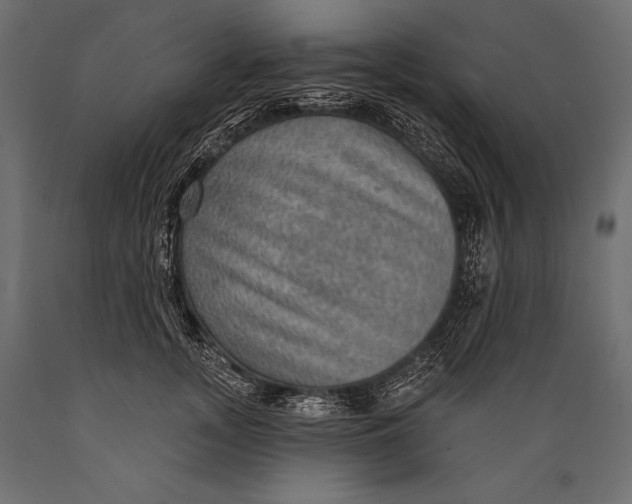 X0000088850755200706291455