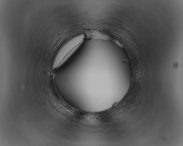 X0000088850756200706291455